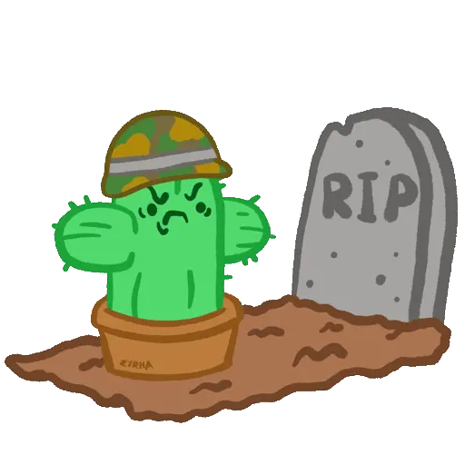Cactus preview