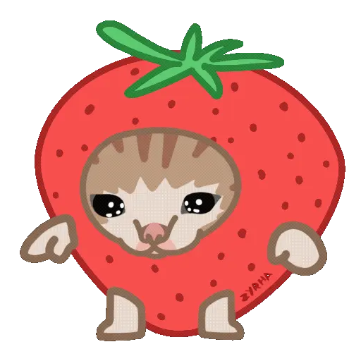 Michi Food preview