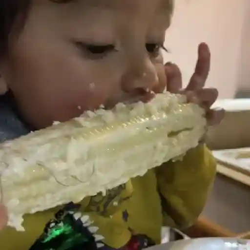 TIKTOKeando 14