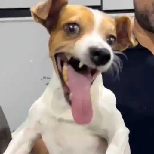 TIKTOKeando 14