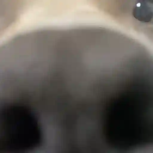 TIKTOKeando 14