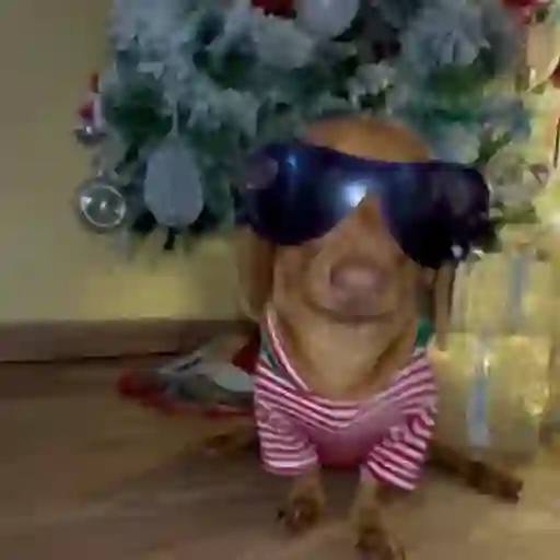 TIKTOKeando 14