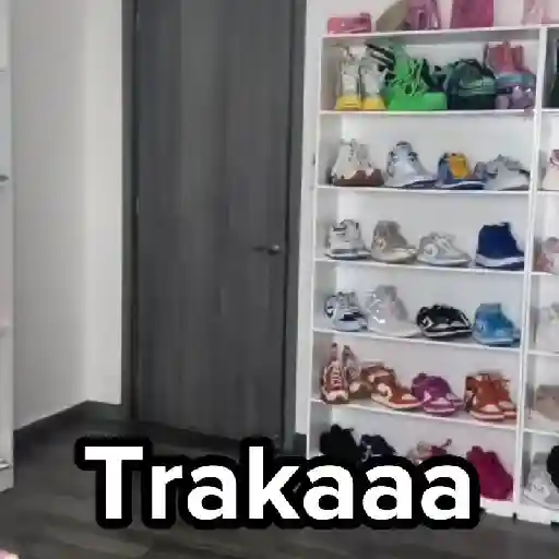 TIKTOKeando 14