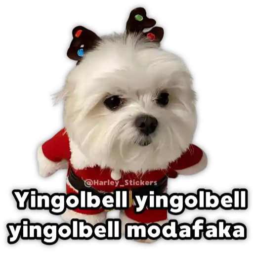 Perritos Navideños