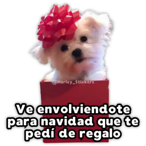 Perritos Navideños preview
