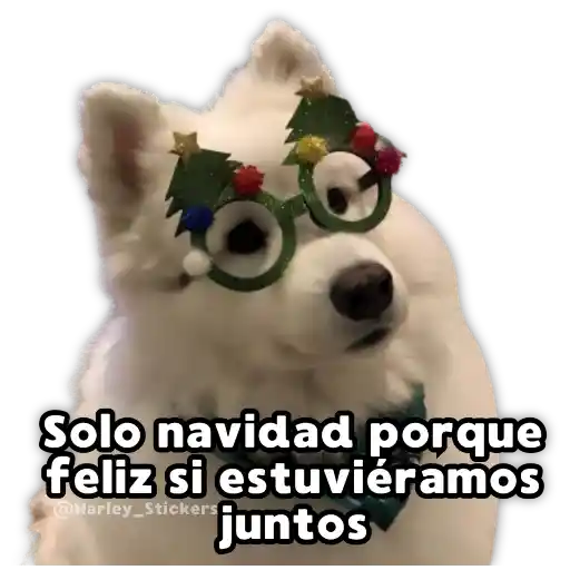 Perritos Navideños