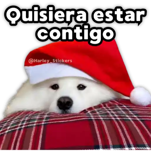 Perritos Navideños