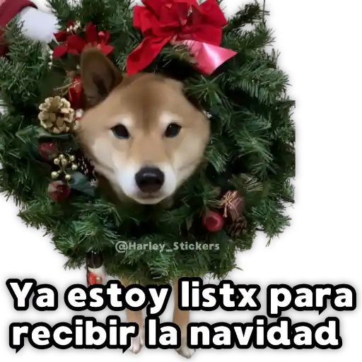 Perritos Navideños