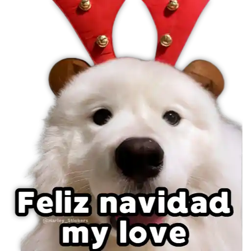 Perritos Navideños preview
