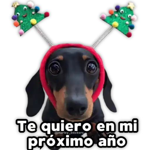 Perritos Navideños
