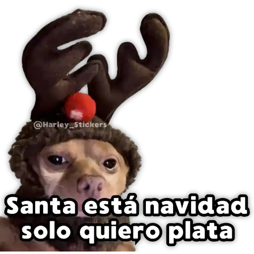 Perritos Navideños