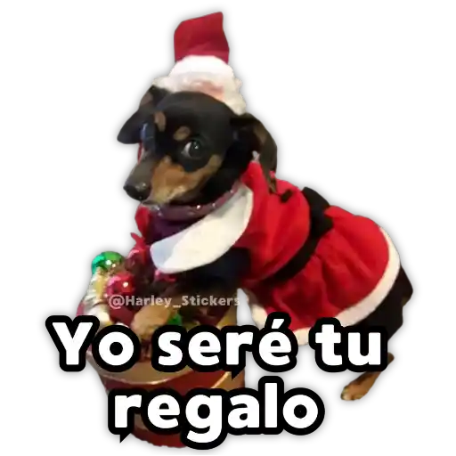 Perritos Navideños