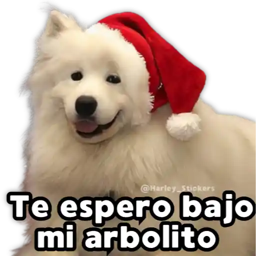 Perritos Navideños