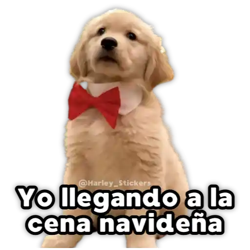 Perritos Navideños