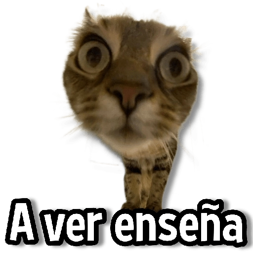 Stickers Usables #3