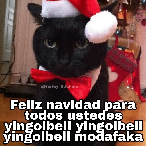 Gatitos Navidad