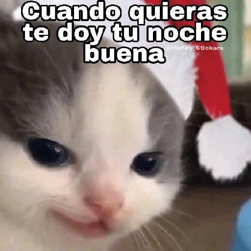 Gatitos Navidad