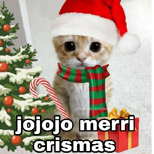 Gatitos Navidad