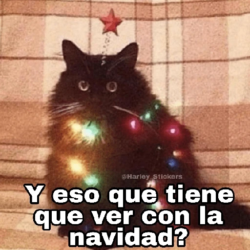 Gatitos Navidad