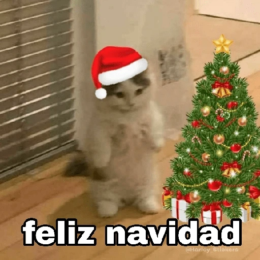 Gatitos Navidad