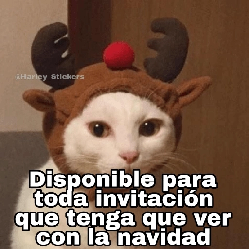 Gatitos Navidad