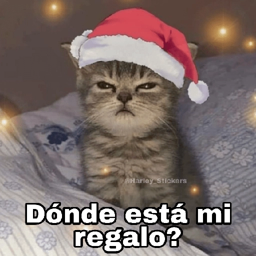 Gatitos Navidad