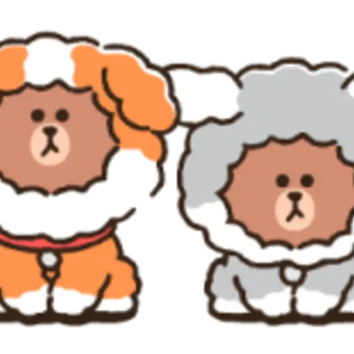 PUPPY BROWN 