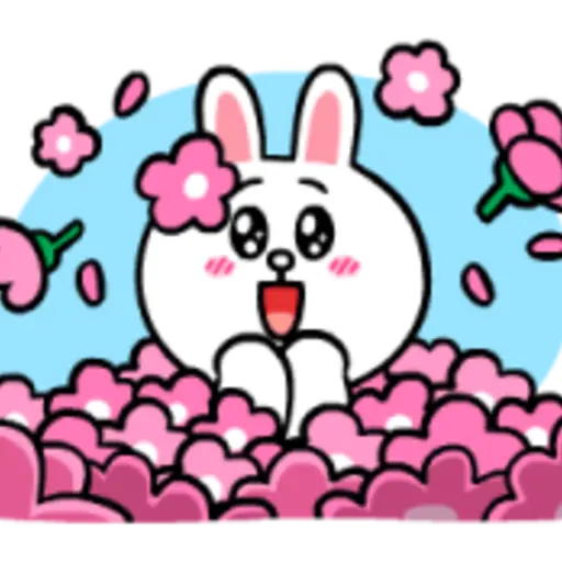 Brown & Cony Rosy Love 