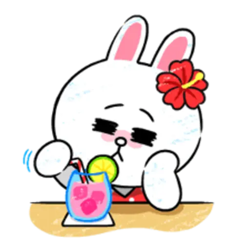 Brown & Cony in Love 