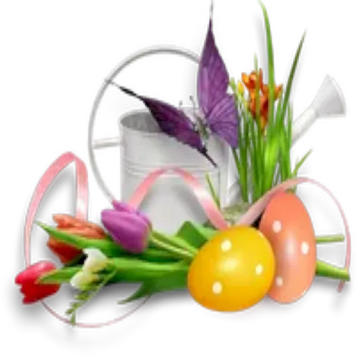Pascua 