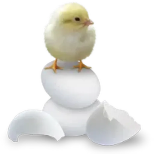 Pascua 