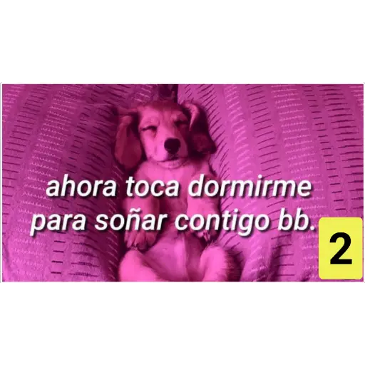 Secuencias de perritos 🐶 2 
