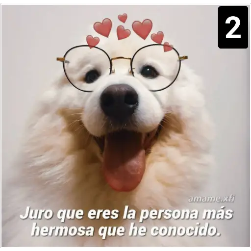 Secuencias de perritos 🐶 2 