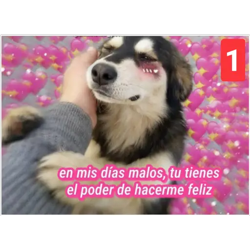 Secuencias de perritos 🐶 2 