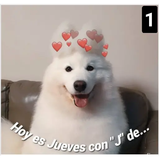 Secuencias de perritos 🐶 2 