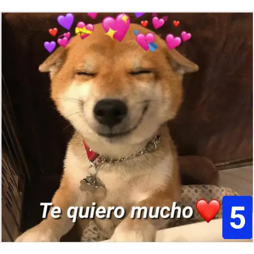 Secuencias de perritos 🐶 2 
