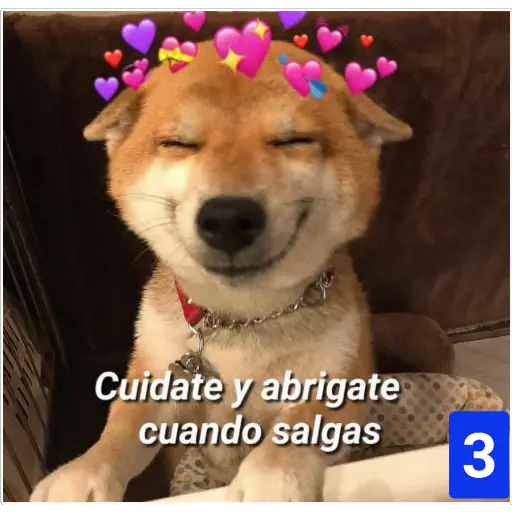 Secuencias de perritos 🐶 2 