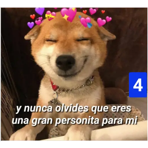 Secuencias de perritos 🐶 2 
