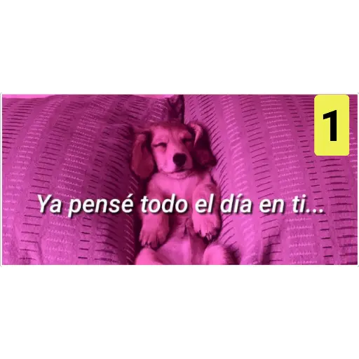 Secuencias de perritos 🐶 2 
