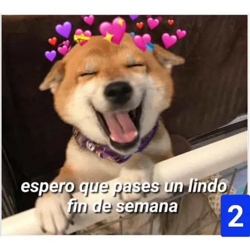 Secuencias de perritos 🐶 2 