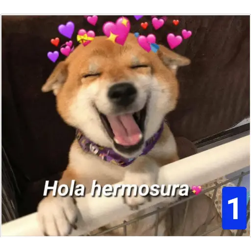 Secuencias de perritos 🐶 2 