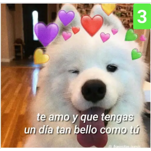 Secuencias de perritos 🐶 2 