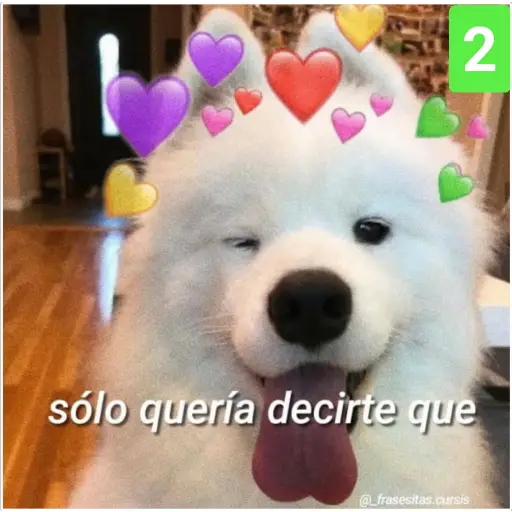 Secuencias de perritos 🐶 2 