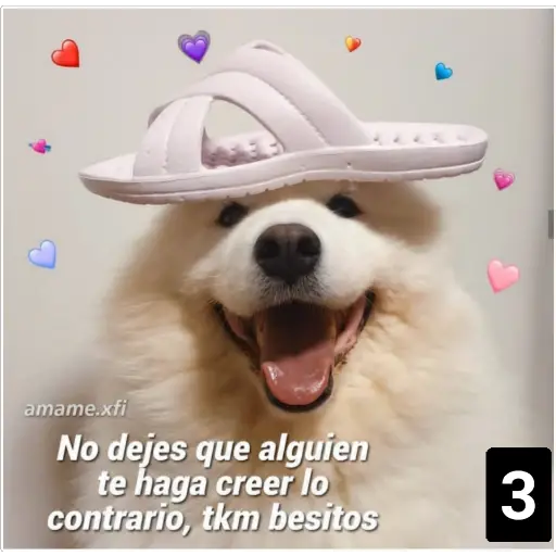 Secuencias de perritos 🐶 2 