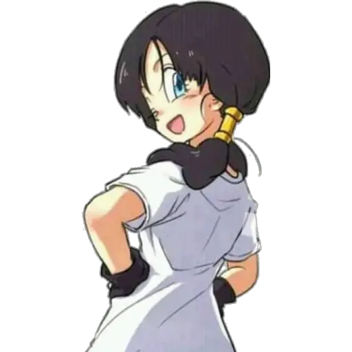 Chicas Dragon Ball 