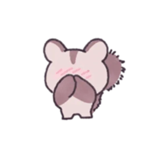 Sugar Glider Mickey Daily Life 