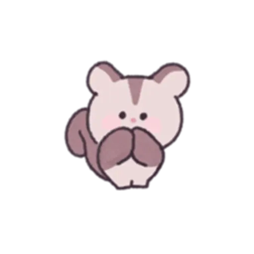 Sugar Glider Mickey Daily Life 