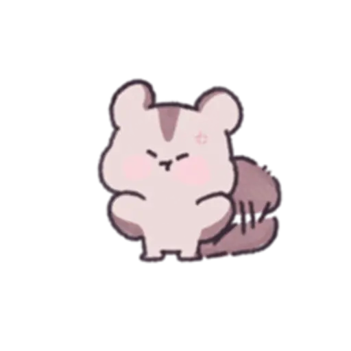 Sugar Glider Mickey Daily Life 