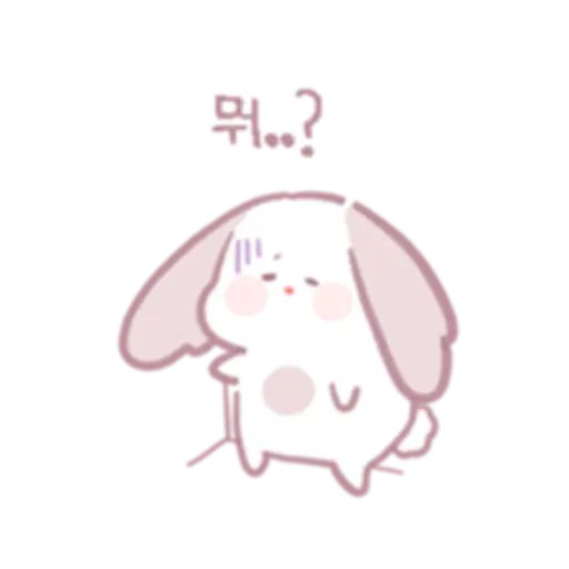 Chinchillas dont know a lot 