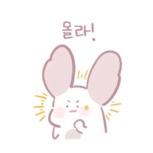 Chinchillas dont know a lot 